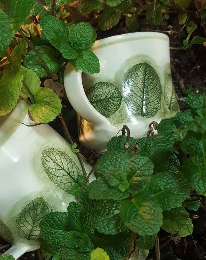 Brocca in ceramica con foglie di menta impresse, fotografata tra la menta